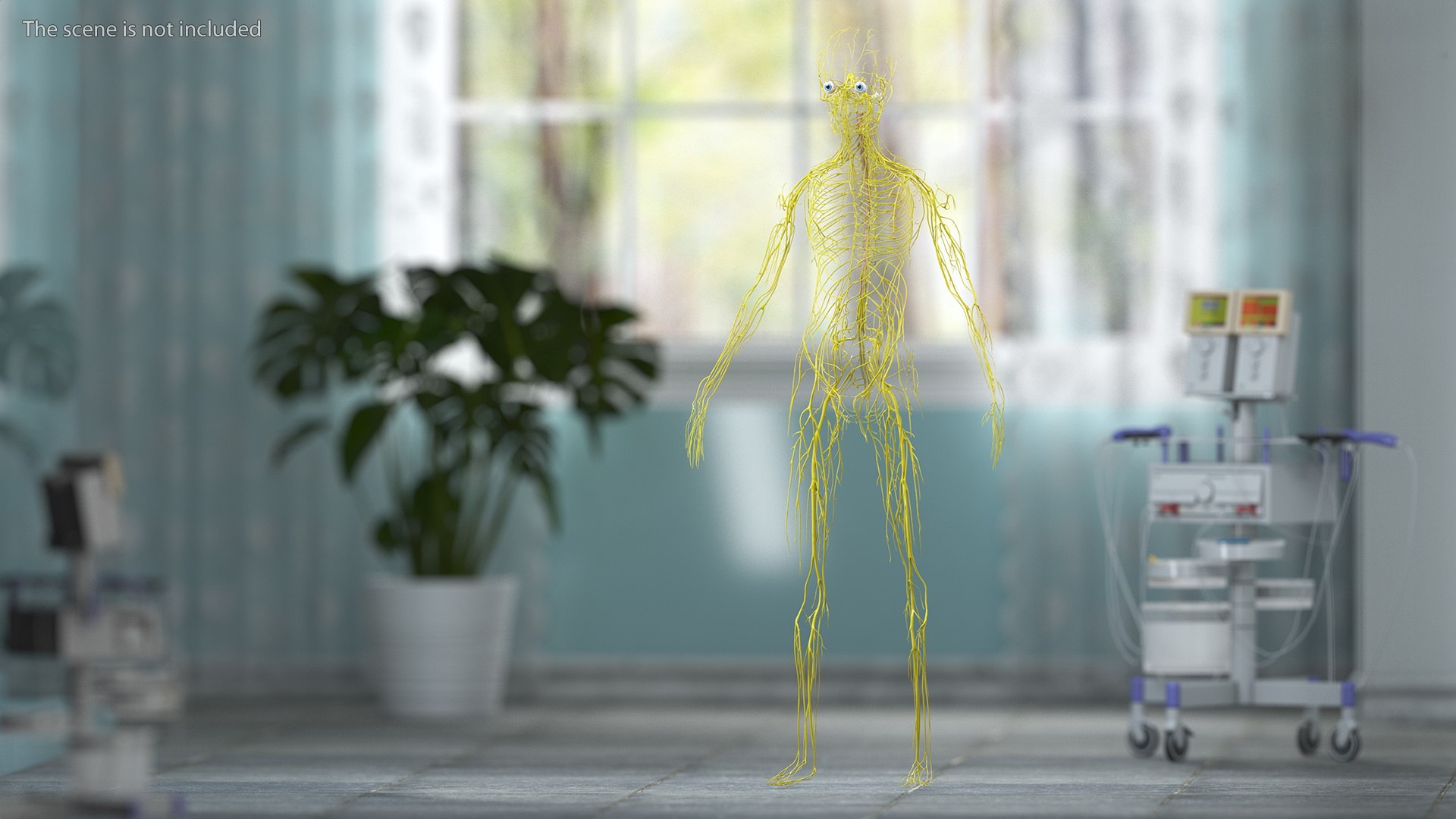 3D Boy Body Anatomy Collection model https://p.turbosquid.com/ts-thumb/xp/MsdDYy/f5/boybodyanatomycollection3dmodel048/jpg/1647438857/1920x1080/fit_q87/619c5e832cb5ac6dc745e98e99a30c76efedfa36/boybodyanatomycollection3dmodel048.jpg