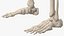 Körperanatomie-Sammlung für Jungen