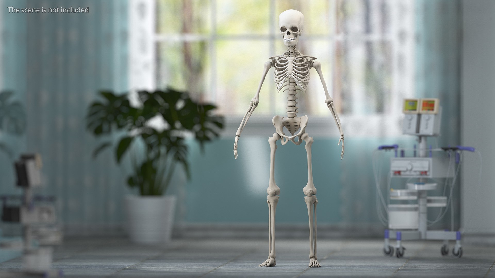3D Boy Body Anatomy Collection model https://p.turbosquid.com/ts-thumb/xp/MsdDYy/qO/boybodyanatomycollection3dmodel067/jpg/1647438915/1920x1080/fit_q87/8dd0ed2c299b37fb9bec435c0ae86a92d3d5df33/boybodyanatomycollection3dmodel067.jpg