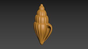Seashell Clam Shell 3D model