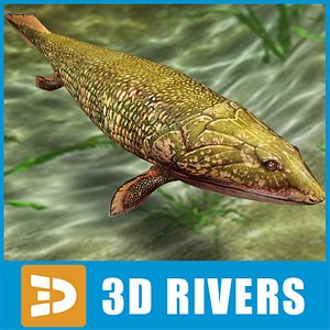 maya panderichthys prehistoric fish