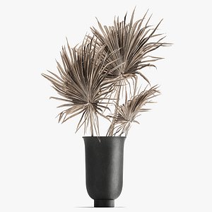 3D Bouquet of dried flowers in a vase 167