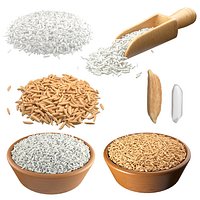 Rice grain collection
