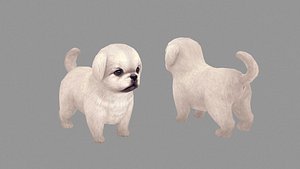 Cartoon pet puppy - White Pekingese - baby dog 3D model