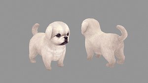 Cartoon pet puppy - White Pekingese - baby dog