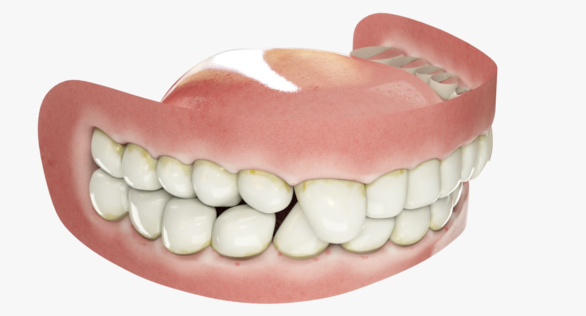 3D teeth gums tongue model https://p.turbosquid.com/ts-thumb/xq/4Pg4lD/6hJnwM5Q/004_02copy/png/1495216193/1920x1080/fit_q87/f858ce4f7202643a5eedaa89141687aec3831507/004_02copy.jpg
