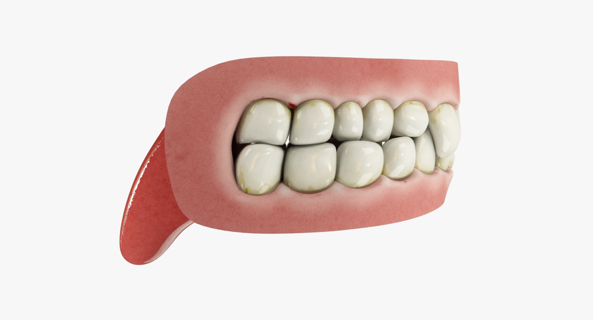 3D teeth gums tongue model https://p.turbosquid.com/ts-thumb/xq/4Pg4lD/jcX7K6yd/004_07copy/png/1495216193/1920x1080/fit_q87/8462140f70de76c3652e2ad4c1e05ff1a4b7150f/004_07copy.jpg