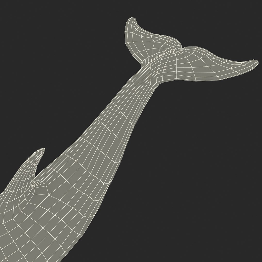 dolphin pose 3 3d 3ds https://p.turbosquid.com/ts-thumb/xq/7g1Xq0/1AfUL50g/3dmodelofdolphin25/jpg/1450422825/1920x1080/fit_q87/2bc6b3272c3540c488f37ea57fde68cec435af26/3dmodelofdolphin25.jpg