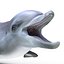 Dolphin Pose 3