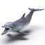 Dolphin Pose 3