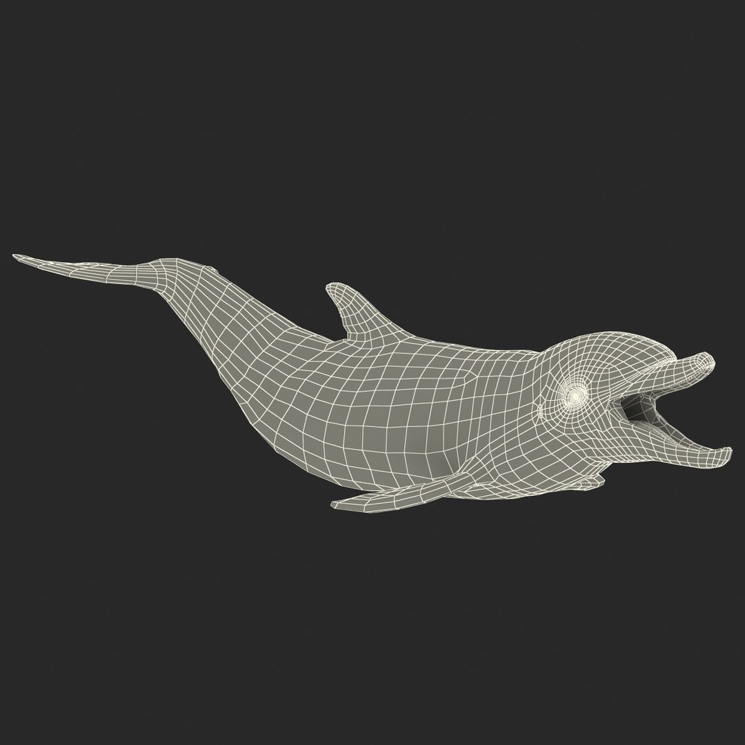 dolphin pose 3 3d 3ds https://p.turbosquid.com/ts-thumb/xq/7g1Xq0/FgZW3oHc/3dmodelofdolphin19/jpg/1450422825/1920x1080/fit_q87/927a8cbb866c8e5ff0a4dbceab9bf9ff64c2d6a2/3dmodelofdolphin19.jpg