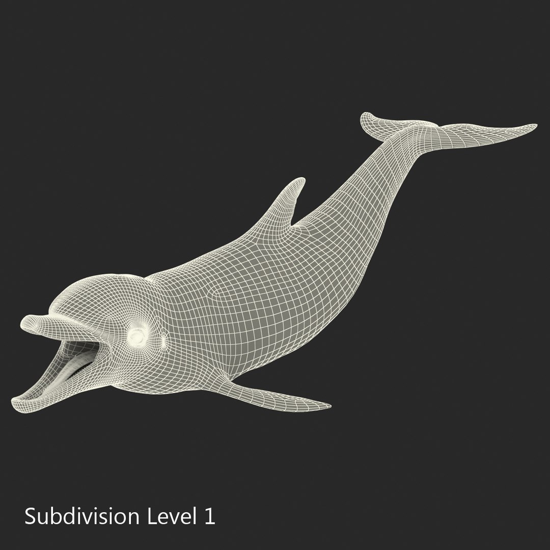dolphin pose 3 3d 3ds https://p.turbosquid.com/ts-thumb/xq/7g1Xq0/IAafzu5R/3dmodelofdolphin15/jpg/1450422824/1920x1080/fit_q87/ff410cbf0882af148c50886d64a91a42c27b4bcd/3dmodelofdolphin15.jpg