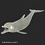 Dolphin Pose 3
