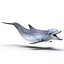 Dolphin Pose 3