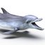 Dolphin Pose 3