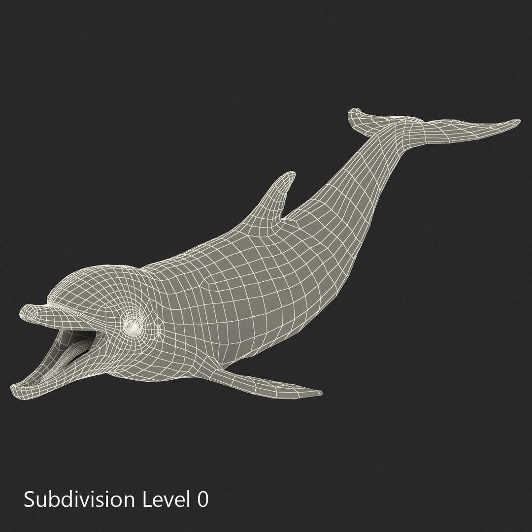 dolphin pose 3 3d 3ds https://p.turbosquid.com/ts-thumb/xq/7g1Xq0/SX5l7rYL/3dmodelofdolphin14/jpg/1450422824/1920x1080/fit_q87/b0450adbec03a0a6ada5df4a9ed08ed58fd01687/3dmodelofdolphin14.jpg
