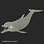 Dolphin Pose 3