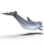 Dolphin Pose 3
