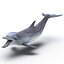 Dolphin Pose 3