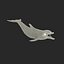 Dolphin Pose 3