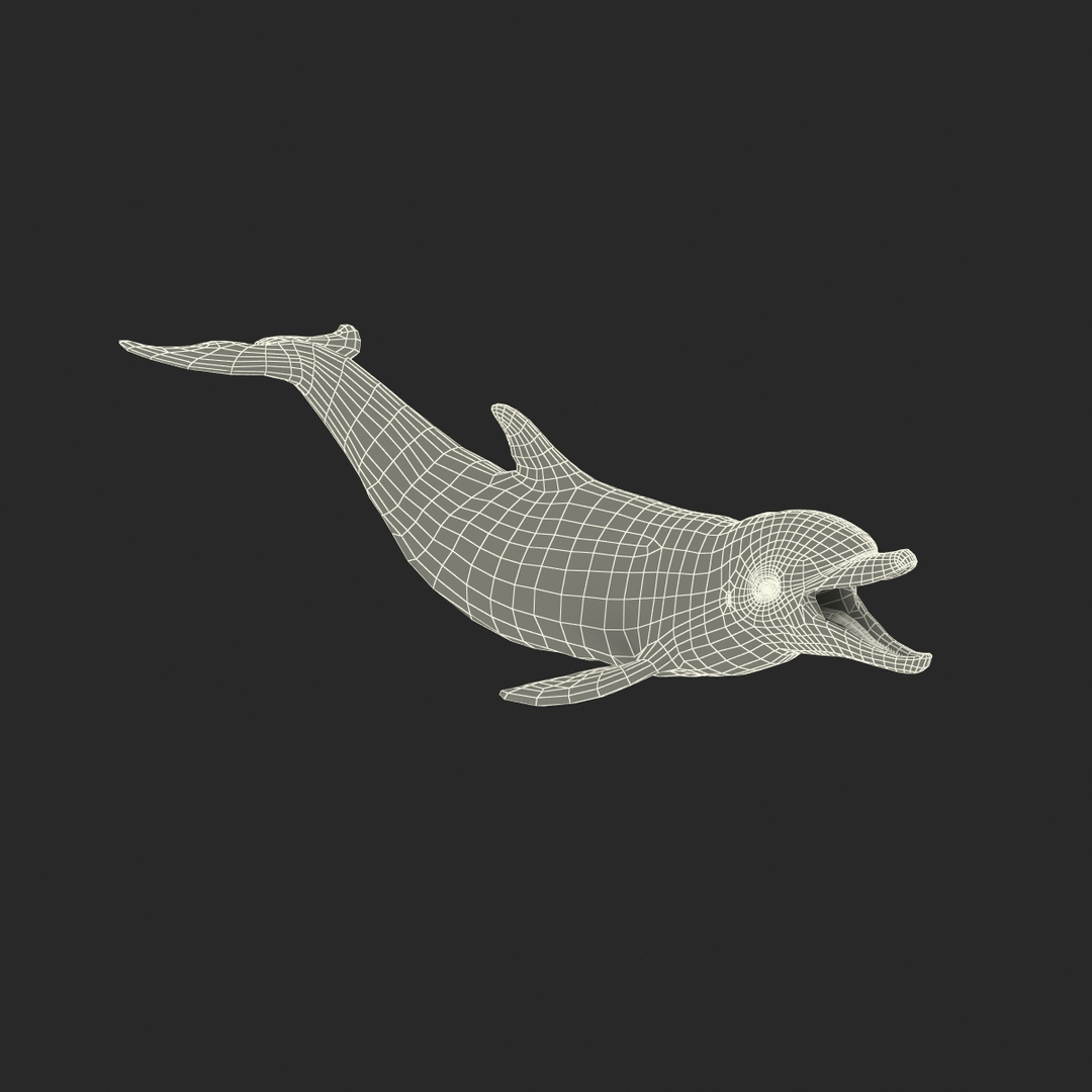 dolphin pose 3 3d 3ds https://p.turbosquid.com/ts-thumb/xq/7g1Xq0/aTxKSWHI/dolphin_pose_3_361/jpg/1450425870/1920x1080/turn_fit_q99/3e56844adefbe37842e5333fe79a42ee4fb1d89c/dolphin_pose_3_361-1.jpg