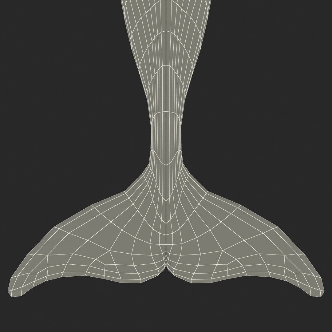dolphin pose 3 3d 3ds https://p.turbosquid.com/ts-thumb/xq/7g1Xq0/bZ3bcYdN/3dmodelofdolphin26/jpg/1450422825/1920x1080/fit_q87/1413d6587e7914ee74d84d60a74bc264bdf789c4/3dmodelofdolphin26.jpg