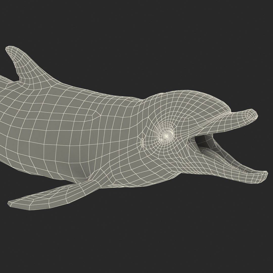 dolphin pose 3 3d 3ds https://p.turbosquid.com/ts-thumb/xq/7g1Xq0/btl7Z8Ou/3dmodelofdolphin24/jpg/1450422825/1920x1080/fit_q87/11fd77ef14bdcef4ec8c64b3a1acabf46aa175af/3dmodelofdolphin24.jpg