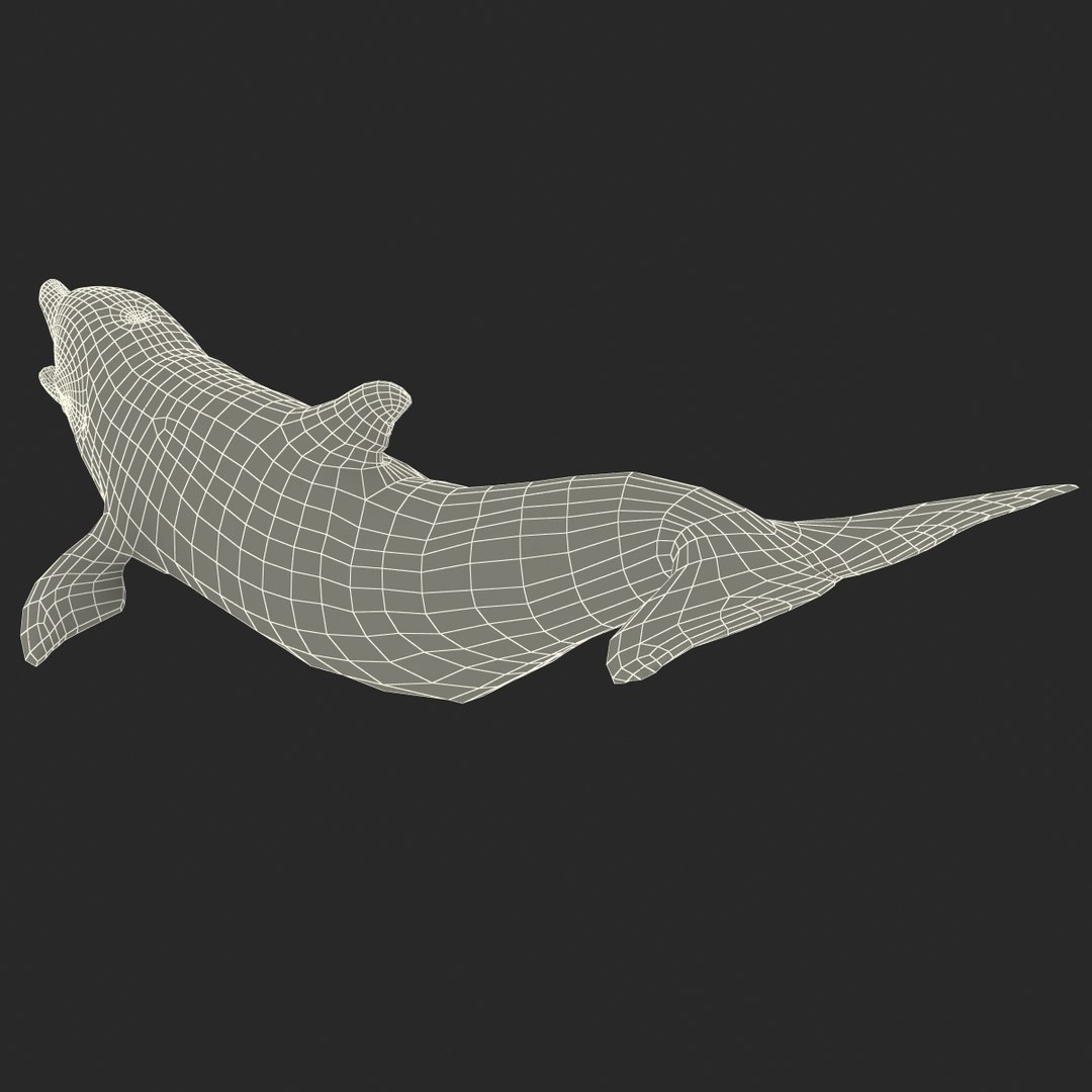 dolphin pose 3 3d 3ds https://p.turbosquid.com/ts-thumb/xq/7g1Xq0/lOTTp4f1/3dmodelofdolphin21/jpg/1450422825/1920x1080/fit_q87/2f05ea73c89a0a2168aeebd671c5813b5cce8158/3dmodelofdolphin21.jpg