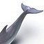 Dolphin Pose 3