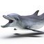 Dolphin Pose 3