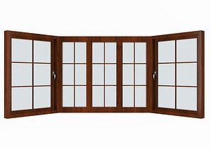 3D window