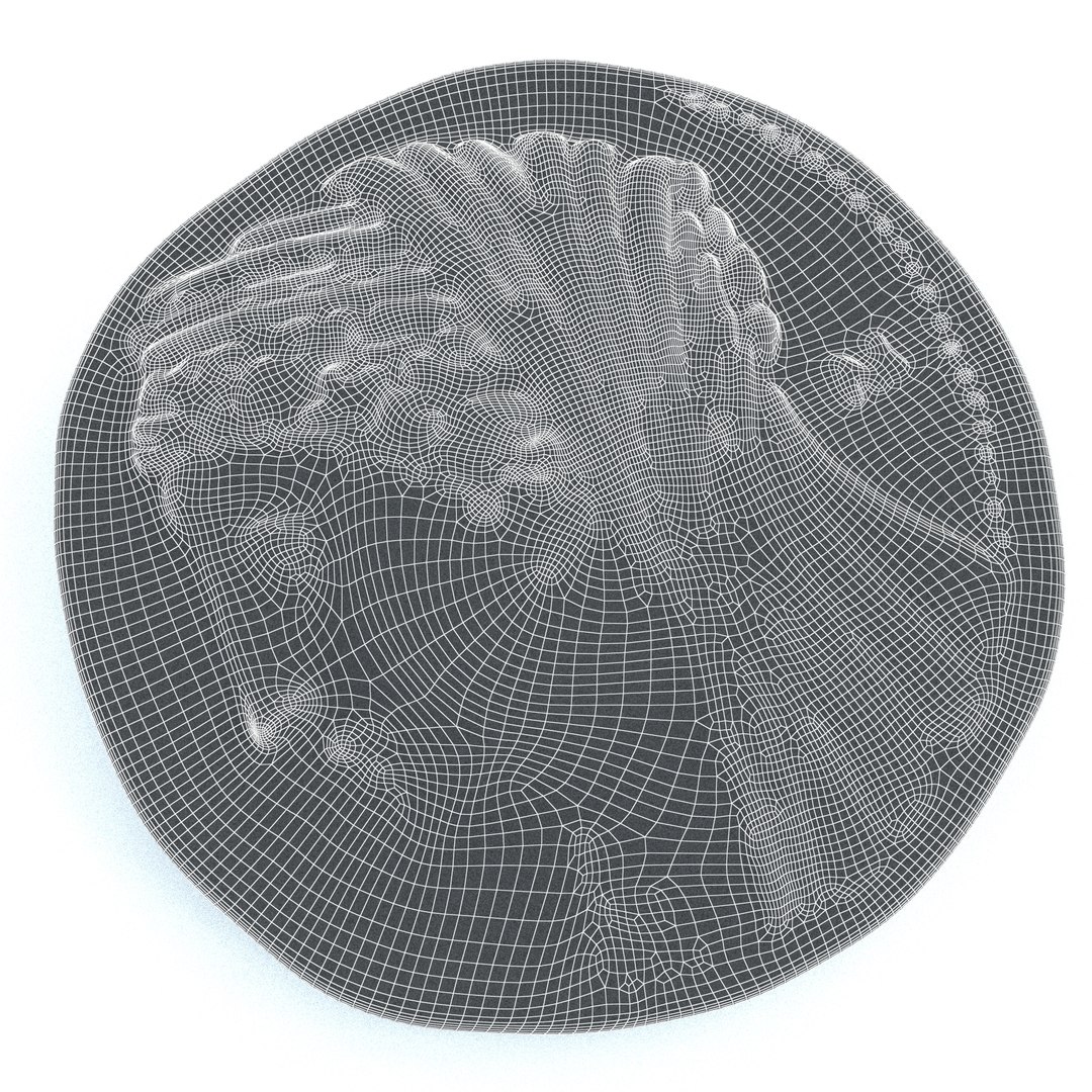Coin Greek Mnaieion 3D model https://p.turbosquid.com/ts-thumb/xq/9vdArl/bz/coin.greek.gold.03.0011/jpg/1636055255/1920x1080/fit_q87/38660abeaa30b4945f07ef356079f809be5cb2af/coin.greek.gold.03.0011.jpg