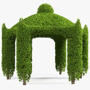 garden gazebo ivy 3D