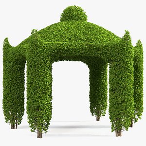 Garden Gazebo with Ivy