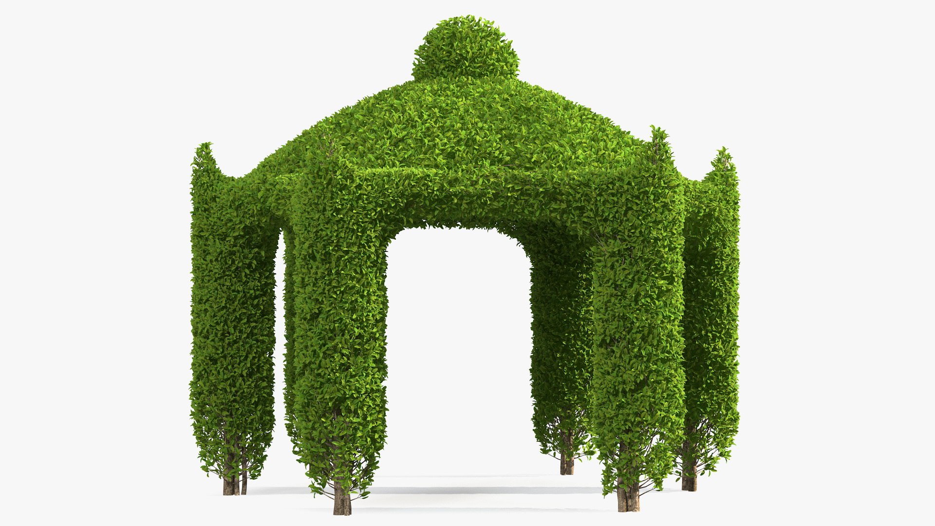 Garden Gazebo with Ivy 3D model preview