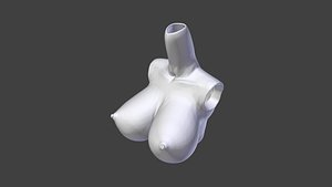3D ddy 1 3 custom model
