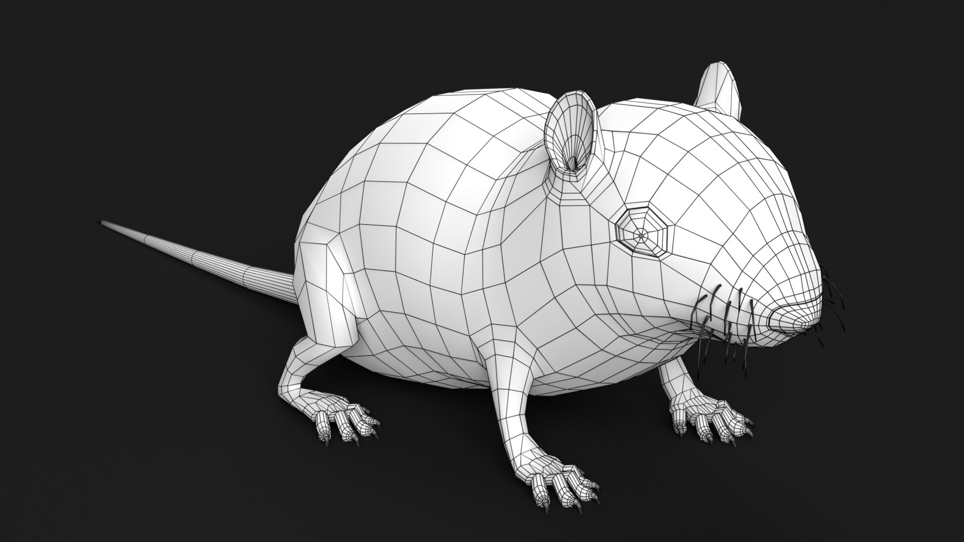 3D Skunk Chipmunk Mouse - TurboSquid 1687004