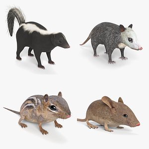 3D skunk chipmunk mouse