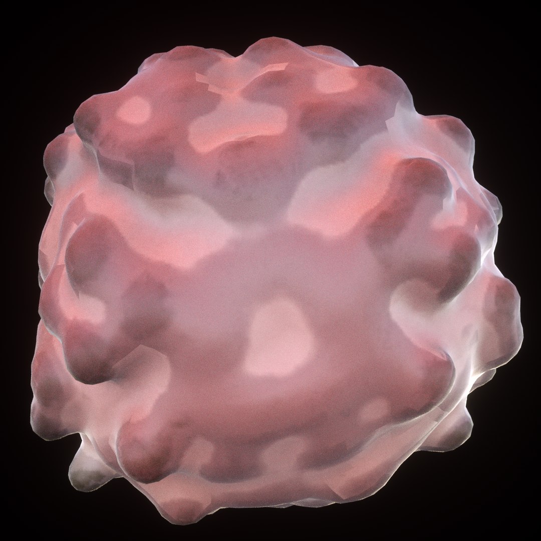 3D model t lymphocytes https://p.turbosquid.com/ts-thumb/xq/Q8Xy6T/Oa6PBgWj/5/png/1552834233/1920x1080/fit_q87/2316abfea3c910b1c27dd3a7cf58d14d63158ce0/5.jpg
