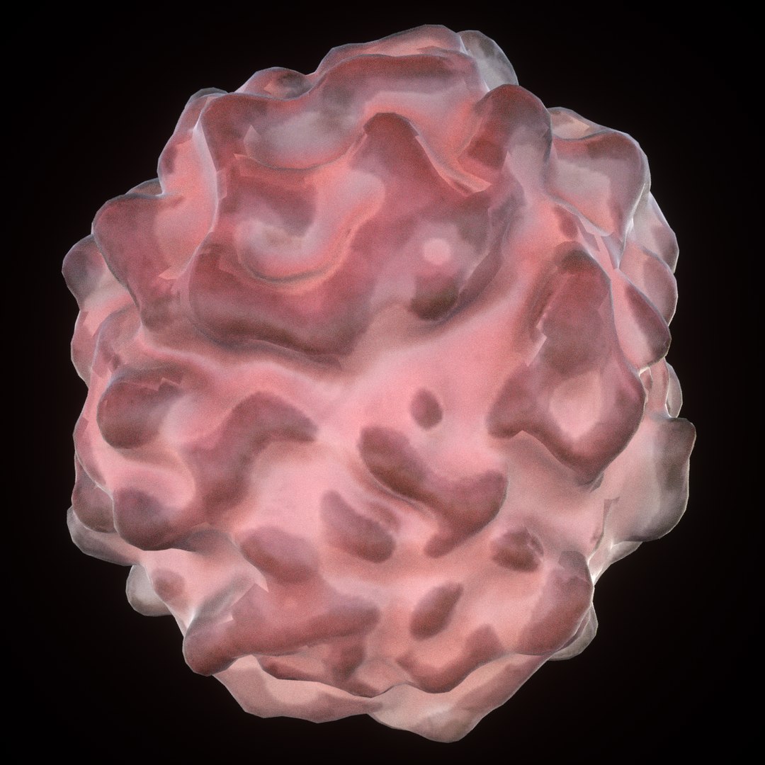 3D model t lymphocytes https://p.turbosquid.com/ts-thumb/xq/Q8Xy6T/kq8rK3Rm/9/png/1552834233/1920x1080/fit_q87/741003799f8d9399dde2e06ee0cae9b350f5ac19/9.jpg