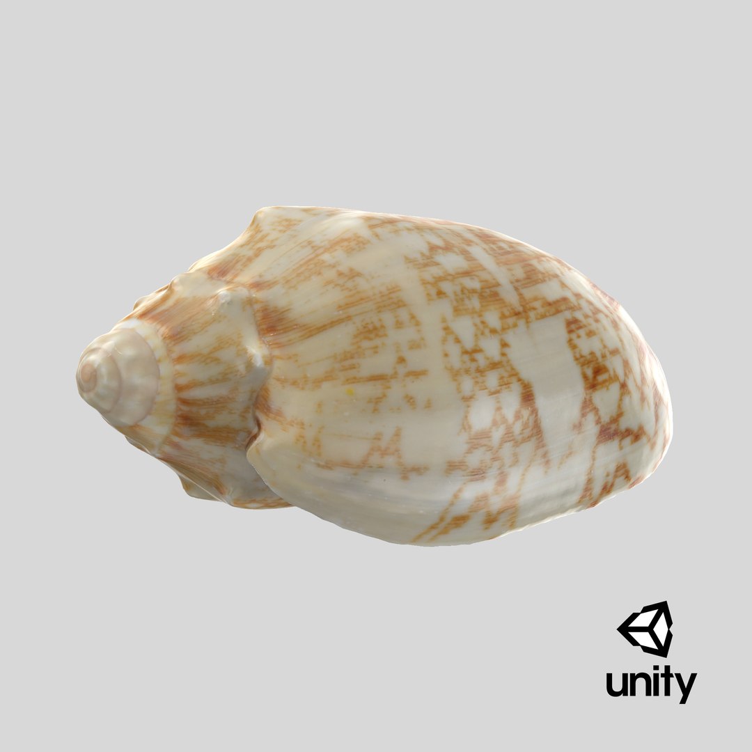 3D Cymbiola Mariaemma model https://p.turbosquid.com/ts-thumb/xq/TJY80R/m8/stemcell_unity_render/png/1729692130/1920x1080/fit_q87/f7300e68b17b5592bf1d8b103d363467da4129b9/stemcell_unity_render.jpg