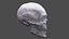 human skull head 3D model