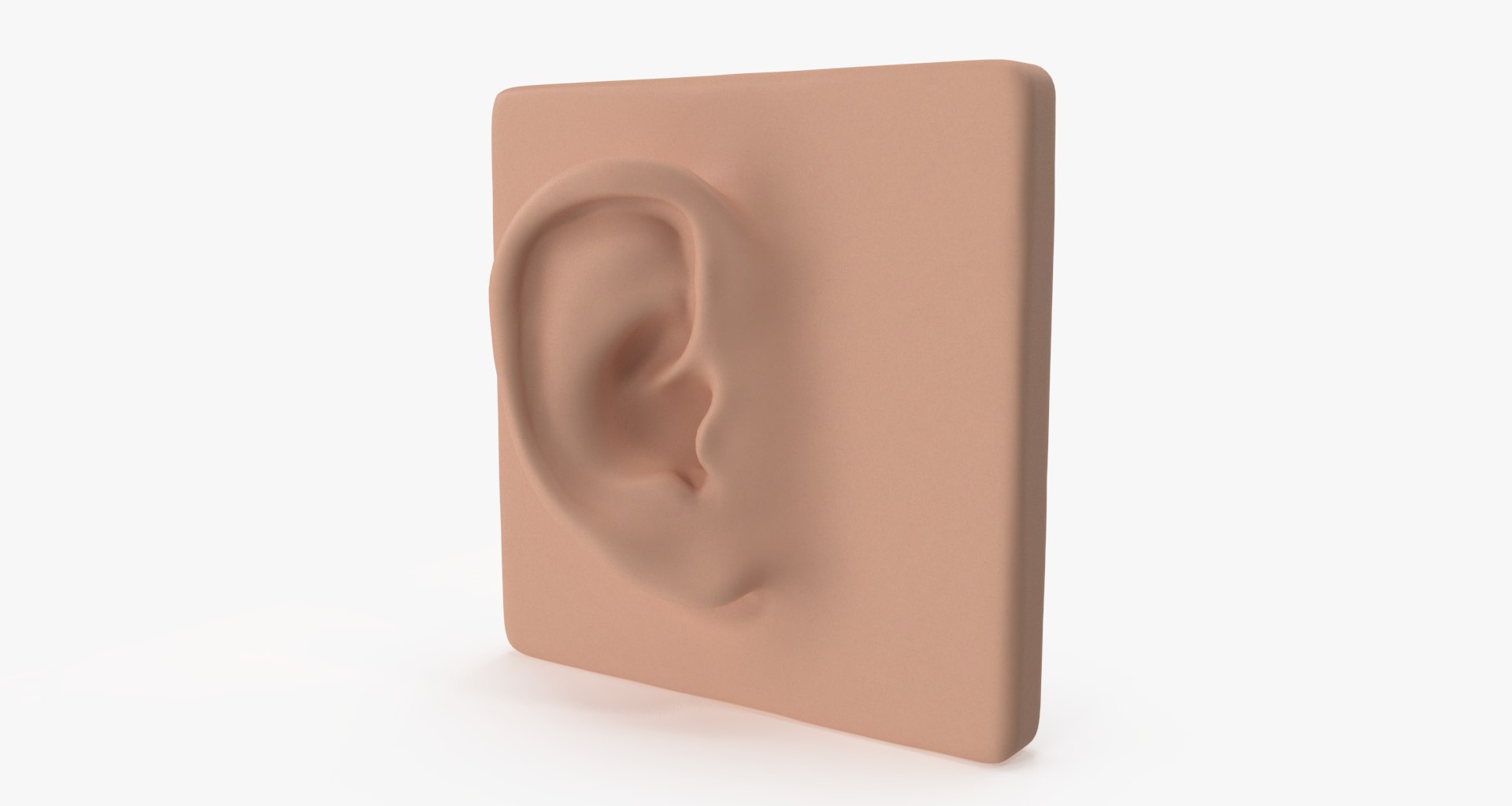 ear 3D model https://p.turbosquid.com/ts-thumb/xq/TvAXsI/51b366n8/ear001/png/1568569614/1920x1080/fit_q87/e47cf4ae80130e7eabad4c7d601755ca09c524ff/ear001.jpg