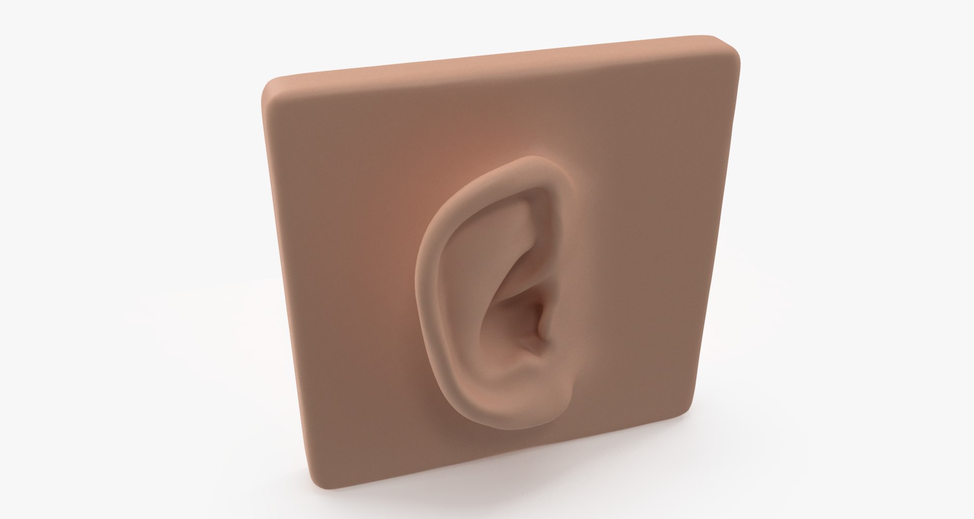 ear 3D model https://p.turbosquid.com/ts-thumb/xq/TvAXsI/AuLvlHy1/ear005/png/1568569640/1920x1080/fit_q87/0f0d147985debd713056006849ec644eadf05964/ear005.jpg