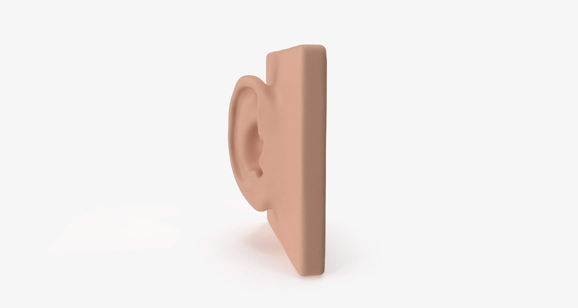 ear 3D model https://p.turbosquid.com/ts-thumb/xq/TvAXsI/PVwNXrkN/ear002/png/1568569568/1920x1080/fit_q87/f95cdc81b546dd346c108ae9ac7792d9bafaf3da/ear002.jpg