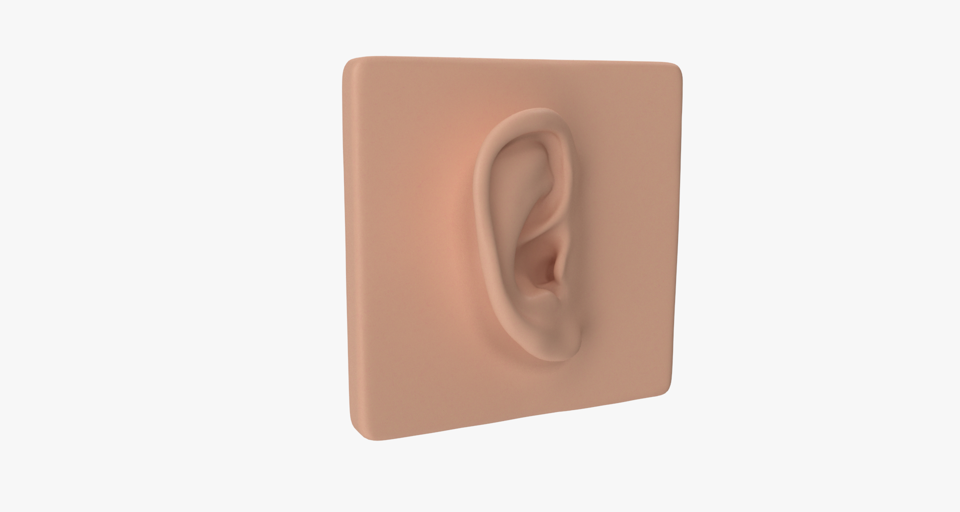 ear 3D model https://p.turbosquid.com/ts-thumb/xq/TvAXsI/foffoJF8/ear/png/1568572366/1920x1080/turn_fit_q99/cf33ce90b20427e86777f4417ebb3df84e659ed5/ear-1.jpg