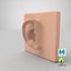 Oreille