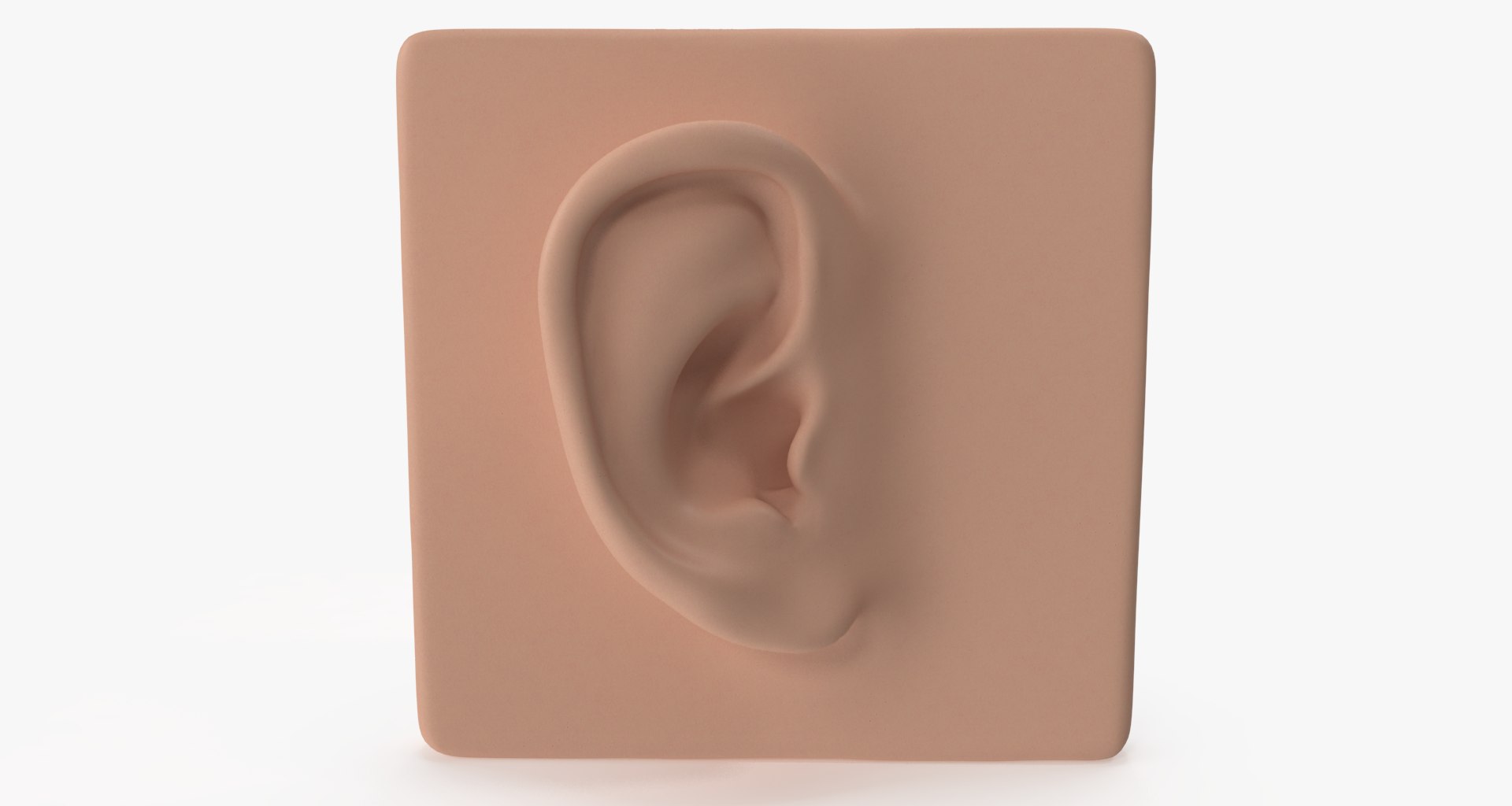 ear 3D model https://p.turbosquid.com/ts-thumb/xq/TvAXsI/q6AjHi0k/ear004/png/1568569613/1920x1080/fit_q87/a29ea5028f022c70175e6b0a11c9ffc629e55500/ear004.jpg