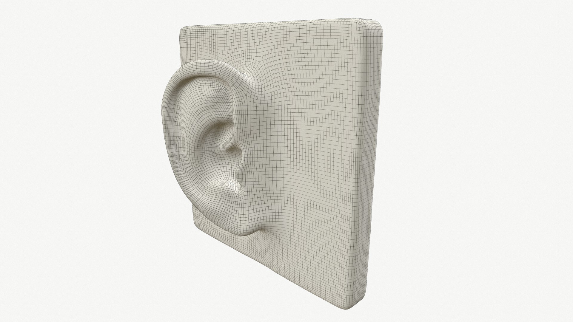 ear 3D model https://p.turbosquid.com/ts-thumb/xq/TvAXsI/uPIh2trC/screenshot003/png/1568574873/1920x1080/fit_q87/b74c7a08971750a17834e3a398b1100c85ba4521/screenshot003.jpg