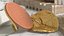 Chocolate Coins Collection